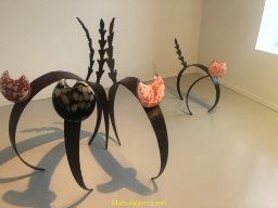 Exposición de Flyppy 2023